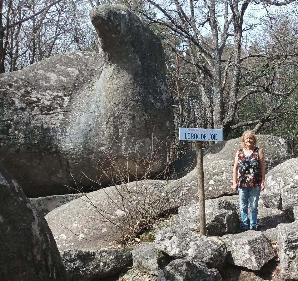 Gite Le Coumis 1370 Saint-Salvy-de-la-Balme Eksteriør billede